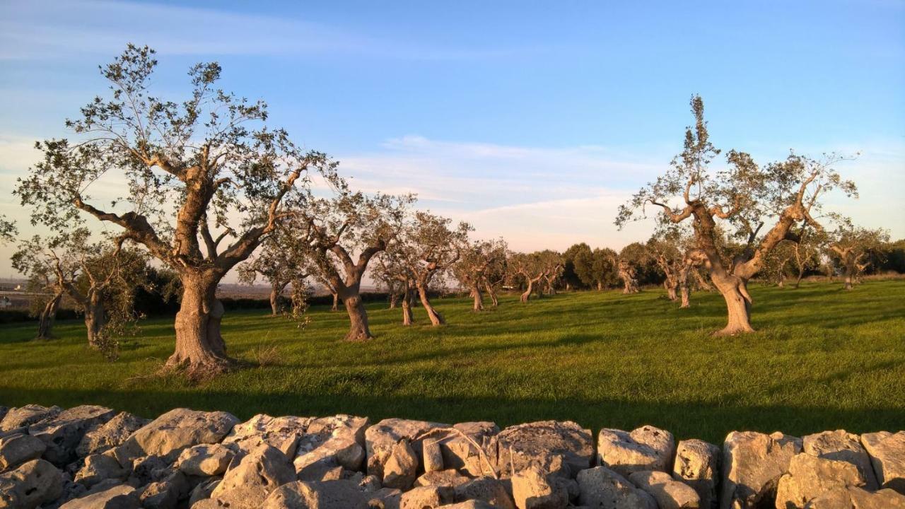 Antiche Mura Apartments "Nel Cuore Della Puglia"Bivani, Cucina, Terrazzo Turi Exterior foto